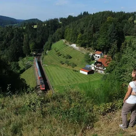 Unterhohnenhof * Triberg im Schwarzwald