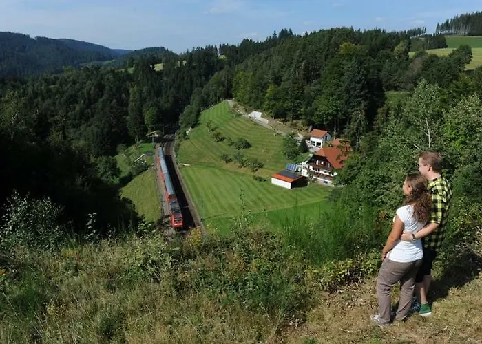Unterhohnenhof * Triberg im Schwarzwald