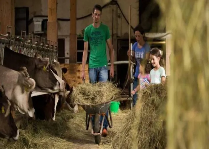 Unterhohnenhof * Triberg im Schwarzwald